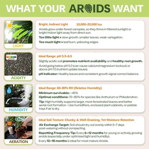 AROID Potting Mix/Premium Soil for Monstera, Philodendron, Alocasia, Anthurium image 5