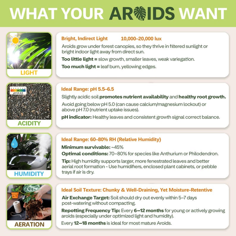 AROID Potting Mix/Premium Soil for Monstera, Philodendron, Alocasia, Anthurium image 5