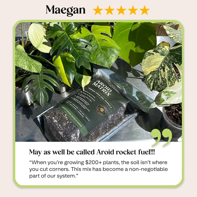 AROID Potting Mix/Premium Soil for Monstera, Philodendron, Alocasia, Anthurium image 6