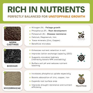 AROID Potting Mix/Premium Soil for Monstera, Philodendron, Alocasia, Anthurium image 4
