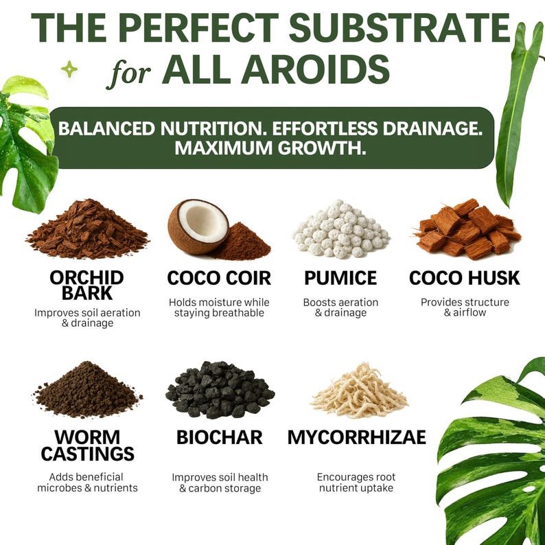 AROID Potting Mix/Premium Soil for Monstera, Philodendron, Alocasia, Anthurium image 2
