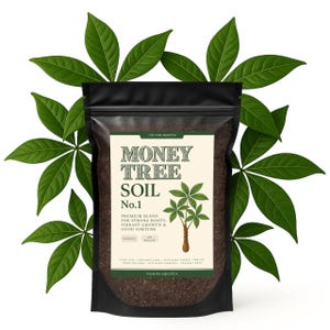 May include: A black bag of Money Tree Soil No. 1, with a label featuring the text "Money Tree Soil" and a graphic of a small tree. The bag is surrounded by green leaves. The label also includes the text "Premium Blend for Strong Roots, Vibrant Growth & Good Fortune."