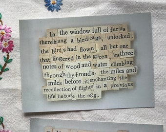 In the window full of ferns - poetry postcard print