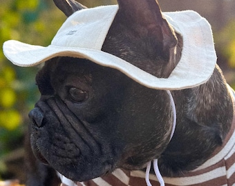 Hunde-Eimerhut mit Kinnband Beige - Sonnenhut für Hunde, Sommer-Haustierhut, Accessoires für kleine & große Hunde, Strandhut für Hunde, Hund Panama
