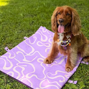 Könnte beinhalten: Ein brauner Cocker Spaniel sitzt auf einem lavendelfarbenen Haustierbett mit einem weißen, abstrakten Design. Der Hund trägt ein Perlenhalsband und befindet sich auf einer Rasenfläche. Das Bett hat einen Reißverschluss und Laschen.