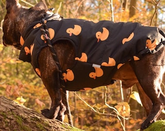 Handmade Custom Dog Puffer Jacket With Duck Print – Warm Waterproof Dog Coat Adjustable Fit For Autumn Winter & Early Spring Walks