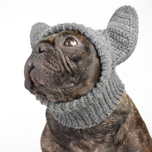 Pode incluir: Um buldogue francês tigrado usando um chapéu de malha cinza com orelhas grandes e eretas. O cão está olhando para cima e para o lado contra um fundo branco. O chapéu cobre a cabeça e o pescoço do cão.