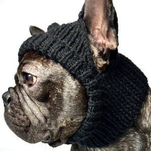 May include: A black knitted dog hat with ear holes, worn by a brindle French Bulldog.