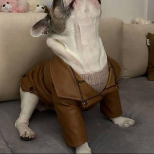 Custom Eco-Leather Dog Jacket | Personalized Fit for Every Dog | Made in Ukraine image 7