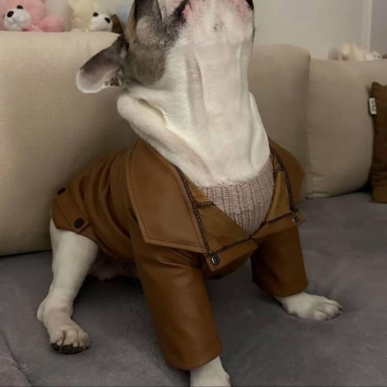 Custom Eco-Leather Dog Jacket | Personalized Fit for Every Dog | Made in Ukraine image 7
