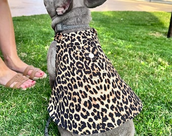 Dog Sundress for Girls | Stylish Pet Dress for Small & Medium Dogs |   Summer Dog Apparel