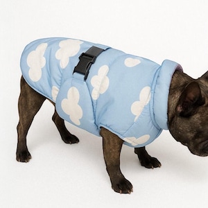Könnte beinhalten: Hellblaue Hundejacke mit weißem Wolkenmuster. Die Jacke hat einen schwarzen Schnallenverschluss und ein gepolstertes Design. Der Hund ist dunkel gefärbt und trägt die Jacke.
