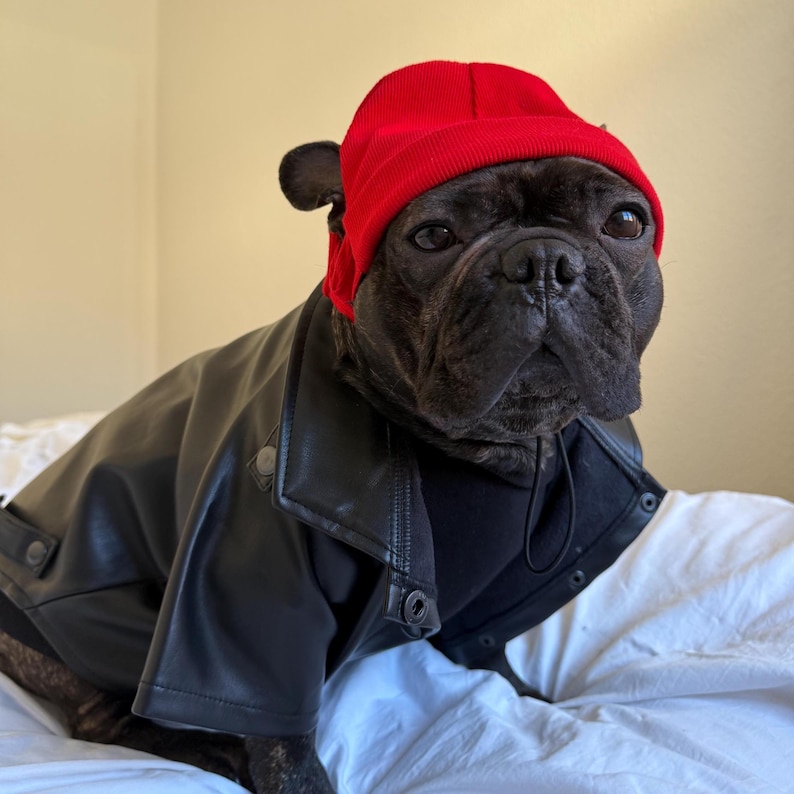 Custom Eco-Leather Dog Jacket | Personalized Fit for Every Dog | Made in Ukraine Black