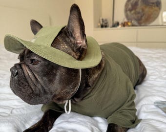 Costume Da Cowboy Per Cane LaVenty – Cappello E Sciarpa Bandana Marrone, Per Feste A Tema E Compleanni
