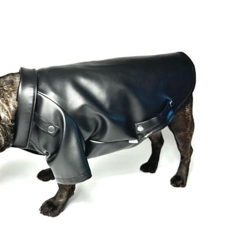 May include: A black faux leather jacket for a dog. The jacket has a zipper closure and a collar.