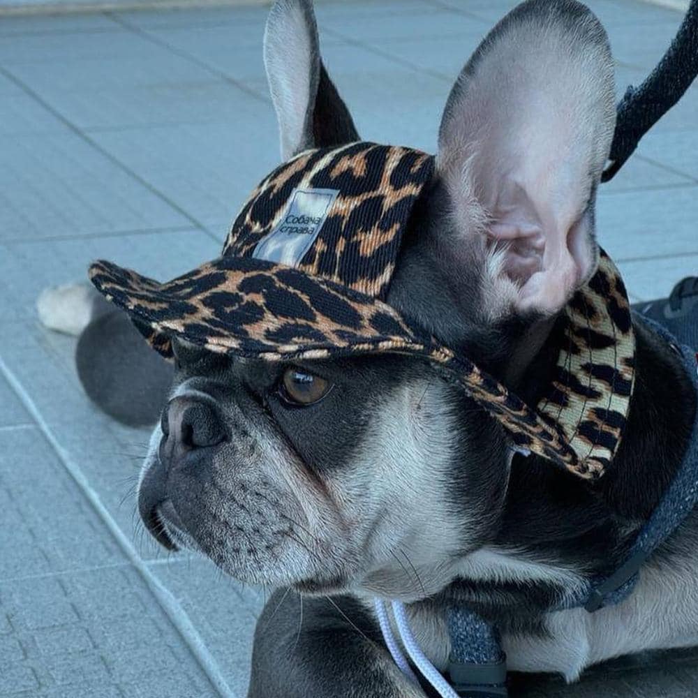Leopard Dog Bucket Hat: Summer Pet Sun Hat with Chin Strap