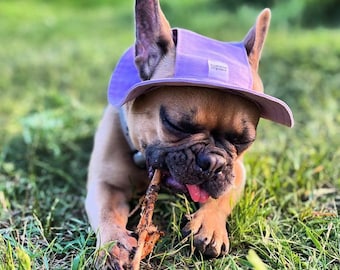 Dog Bucket Hat with Chin Strap Purple – Cute Sun Hat for Dogs, Summer Pet Hat, Small & Large Dog Accessories, Dog Beach Hat, Dog Panama