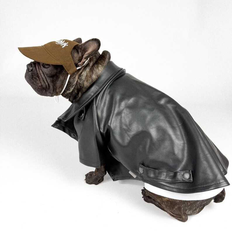 Custom Eco-Leather Dog Jacket | Personalized Fit for Every Dog | Made in Ukraine image 2