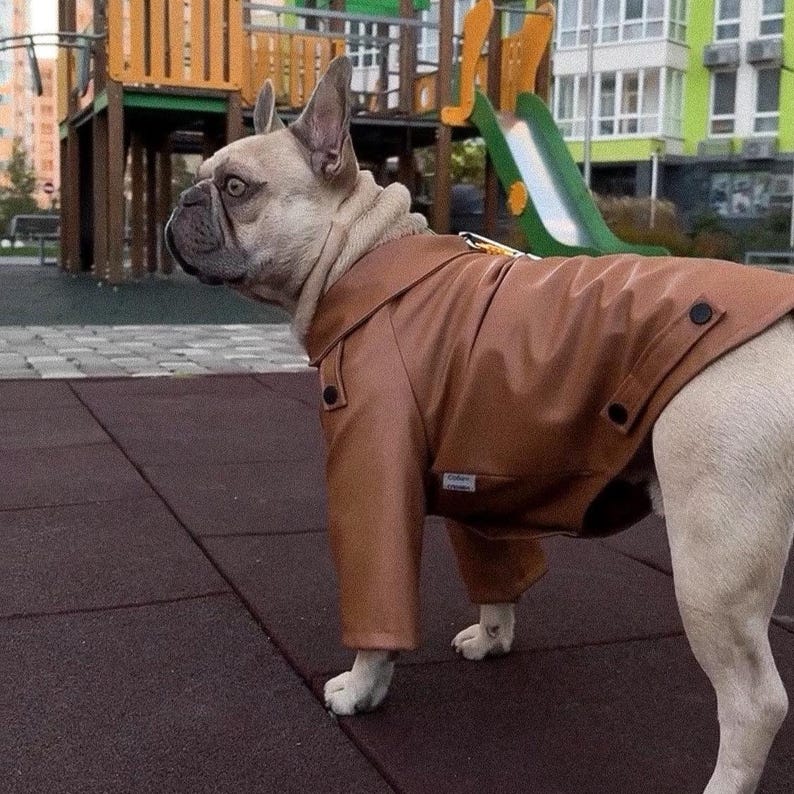 Custom Eco-Leather Dog Jacket | Personalized Fit for Every Dog | Made in Ukraine image 8