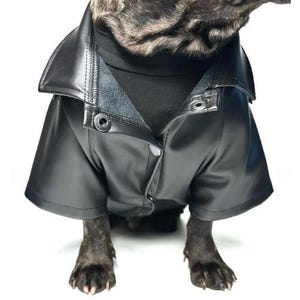 Custom Eco-Leather Dog Jacket | Personalized Fit for Every Dog | Made in Ukraine image 4