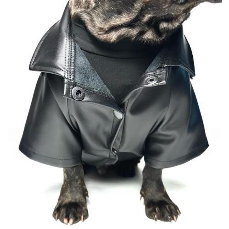 Custom Eco-Leather Dog Jacket | Personalized Fit for Every Dog | Made in Ukraine image 4