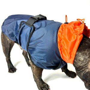 Peut inclure: Un manteau bleu marine pour chien avec une capuche orange, fixé avec une boucle et des sangles noires. Le manteau pour chien est conçu pour protéger le chien des éléments. Le chien est de couleur bringée.