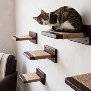 May include: A set of five wall-mounted cat shelves made of dark brown wood with tan sisal rope inserts. Each rectangular shelf features a horizontal mounting bracket. A tabby cat with brown, black, and white fur sits on the top right shelf.