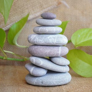 Può includere: Una pila di ciottoli di fiume lisci, grigi e viola, disposti in una torre equilibrata. Le pietre variano per dimensioni e forma, creando una composizione naturale e zen. Foglie e viti verdi sullo sfondo.