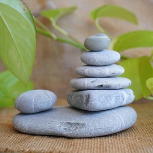 Può includere: Una pila di ciottoli di fiume grigi e lisci, disposti in una torre equilibrata, con una pietra aggiuntiva accanto. Le pietre variano per dimensioni e forma, creando una composizione naturale e zen. Foglie verdi e sfondo marrone completano la scena.