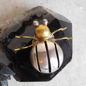 Könnte beinhalten: Eine silberne und goldene Käferbrosche mit einem gestreiften Körper und goldenen Antennen. Die Brosche liegt auf einem schwarzen Hintergrund.