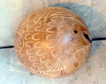 Vintage Peruvian Carved Gourd Coin Bank - Fish, Frog - Striped Rodent-Looking Animals, Turtle, Armadillo  - Possibly Antique
