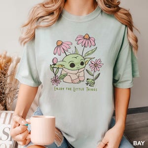 Puede incluir: Camiseta verde claro con un personaje de dibujos animados, flores rosas y una peque&ntilde;a rana. El texto "ENJOY THE LITTLE THINGS" est&aacute; impreso debajo. Prenda de vestir informal.