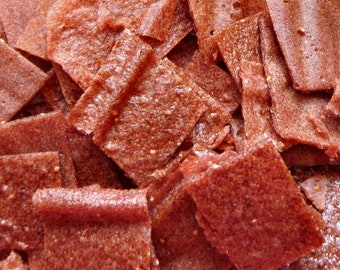 Strawberry Rhubarb Fruit Vegetable Leather Bites - 2 oz. - GREAT for you AND your dog