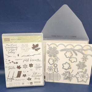 Pode incluir: Um conjunto de carimbos e matrizes de corte em uma caixa de plástico transparente. O conjunto de carimbos apresenta texto, incluindo "May all your tomorrows be as happy as today." As matrizes de corte incluem folhas, galhos e desenhos florais.