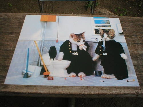Vintage Cats Smoking in Bathroom Poster