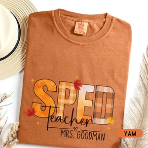 Special Education Teacher Shirts Comfort Colors, Special Education Teacher Gifts, Sped Teacher Shirt, Autism Teacher Shirt, Sped Shirt Gift