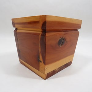 Übertopf aus Pinienholz Mid Century Sammlerstück