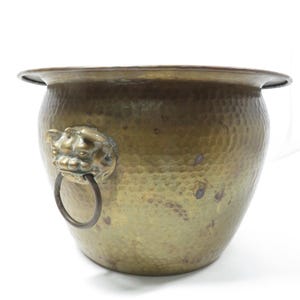 May include: A brass planter with a hammered finish and a lion's head ring handle. The planter has a wide rim and a textured surface. The brass has a warm, aged patina, and the lion's head is detailed.