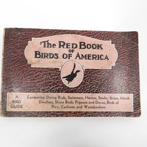 Birds of America Guide Book 1931 Frank G Ashbrook Vintage Illustrations