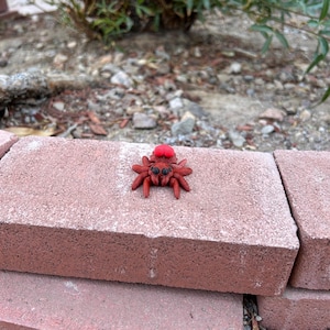 Heart Spider - Articulated & Flexible 3D Printed Animal