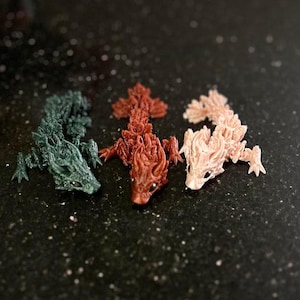 Wicked Dragon Tadling - Articulated & Flexible 3D Printed Fantasy Creature