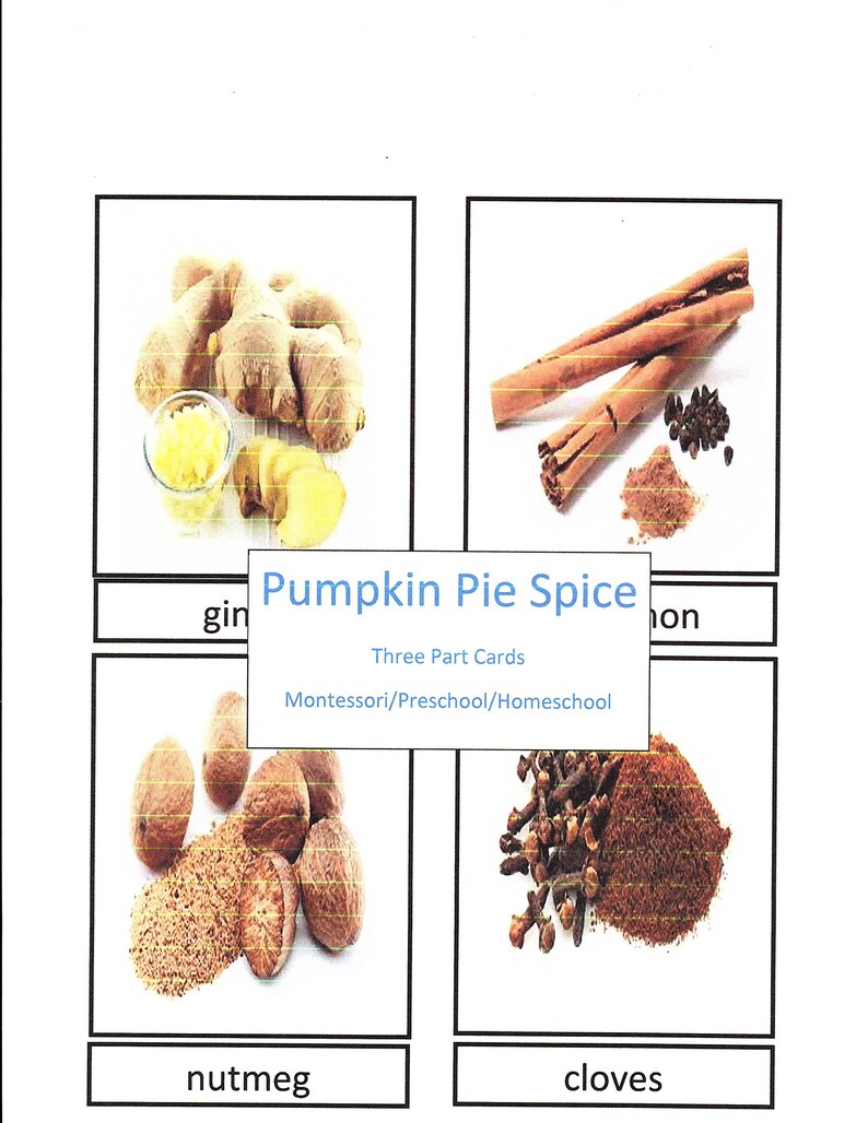 Montessori Growing Pumpkin Sequencing Cards Preschool | Etsy