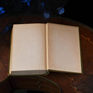 Puede incluir: Un libro de tapa dura abierto con p&aacute;ginas en blanco de color hueso y una cubierta y lomo de color verde oscuro. El libro est&aacute; colocado en posici&oacute;n horizontal, mostrando las guardas interiores y el pliegue de la encuadernaci&oacute;n.