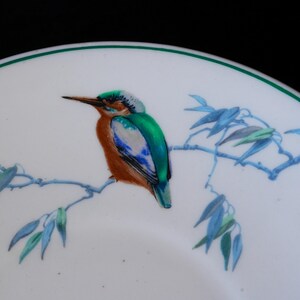 May include: A white ceramic plate with a green rim features a detailed illustration of a colorful bird perched on a branch. The bird has a brown body, green wings, and a blue head. Blue leaves and branches complete the design.