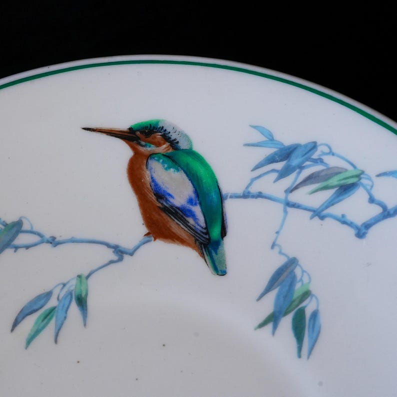 May include: A white ceramic plate with a green rim features a detailed illustration of a colorful bird perched on a branch. The bird has a brown body, green wings, and a blue head. Blue leaves and branches complete the design.