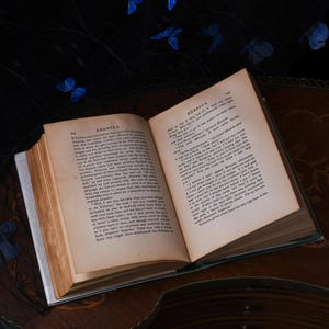 Antieke eerste editie van Rebecca of Sunnybrook Farm – Kate Douglas Wiggin, Houghton Mifflin, groene linnen band met afbeeldingen, stofomslag, gesigneerd 1903 afbeelding 7