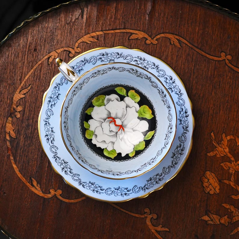 Vintage Paragon Gardenia Teacup & Saucer – White Bloom on Black, Powder Blue, Lucky Horseshoe Border, Double Royal Warrant, England 1940s image 3