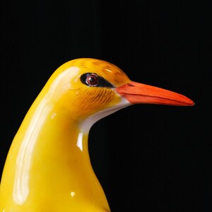 Antique Meissen Porcelain Golden Oriole – After J.J. Kändler, Model No. 820, First Quality Crossed Swords, "Germany" Export Mark, 1891–1918 image 8