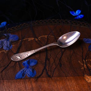 Puede incluir: Una cuchara de metal plateado con un cuenco alargado y un mango decorado con un motivo floral y de ave en relieve. El mango presenta un dise&ntilde;o acanalado que conduce al cuenco, el cual tiene una superficie lisa, brillante y reflectante.