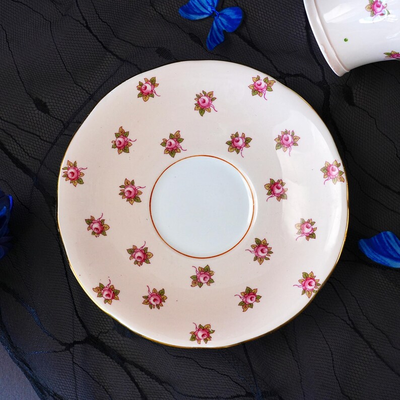 Może przedstawiać: Okrągły porcelanowy spodek o jasnokremowym tle z powtarzającym się wzorem małych r&oacute;żowych pąk&oacute;w r&oacute;ż z zielonymi liśćmi. Spodek posiada gładkie, okrągłe wgłębienie na środku oraz cienką, złotą obw&oacute;dkę wzdłuż zewnętrznej krawędzi.